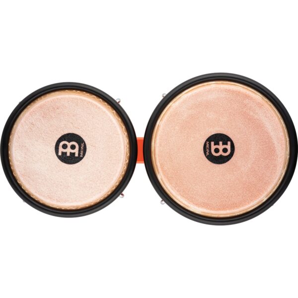 BONGO MEINL JOURNEY HB50EC