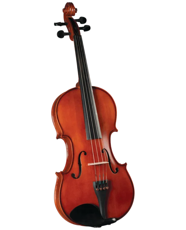 VIOLAS MARCA LZS COLOR MATE