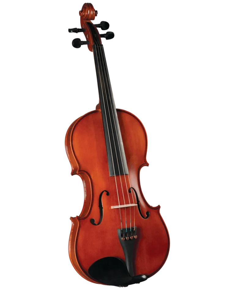 VIOLAS MARCA LZS COLOR MATE