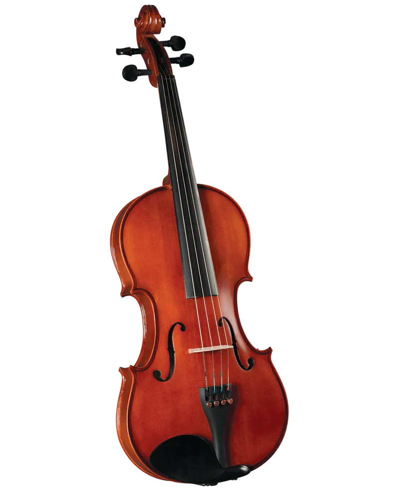 VIOLAS MARCA LZS COLOR MATE